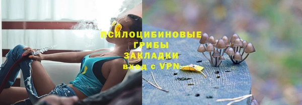 ПСИЛОЦИБИНОВЫЕ ГРИБЫ Липки