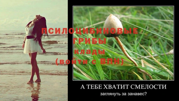 Альфа ПВП Лихославль